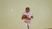 Georgia Tech Football Sport GIF by Georgia Tech Yellow Jackets