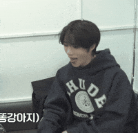 K Pop Dog GIF