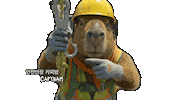Point Inspect Sticker
