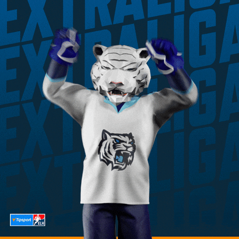 Hockey Hokej GIF by Tipsport extraliga