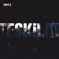 Typography Dizi GIF by TRT