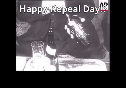 spsweeney91 giphygifmaker party flag steward 21st amendment GIF