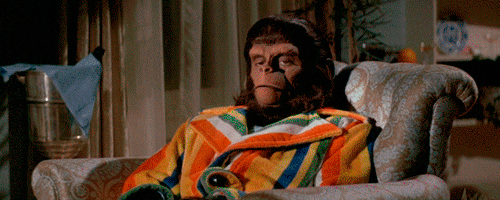 planet of the apes swag GIF