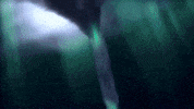 explosion rage GIF by South Park 