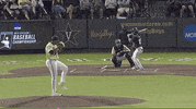 college baseball sport GIF by NCAA Championships