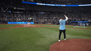 Blue Jays Sport GIF by MLB