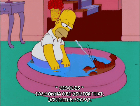 homer simpson GIF