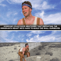 GIF by The Daily Show with Trevor Noah