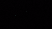 Computer Science Movie GIF by Magnolia Pictures