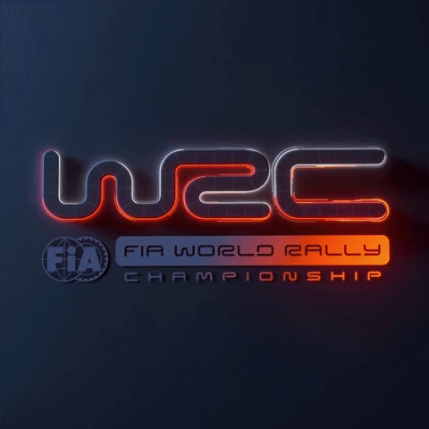 GIF by FIA World Rally Championship