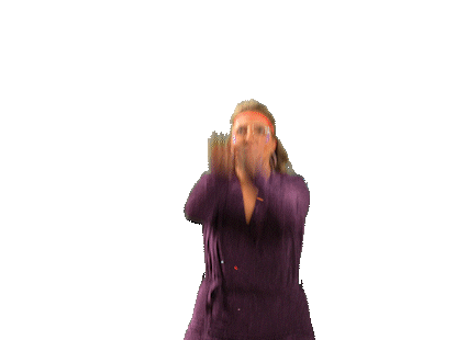 Carnaval Sticker by SRK den Haaykaant