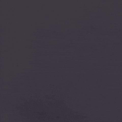 Casey Walls GIF by San Jose Earthquakes