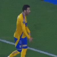 Tigres Uanl GIF