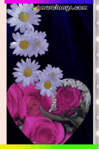 Para Todos Salud GIF by Murcianys LLC