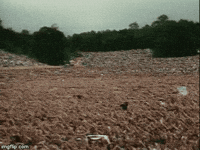 cell phones GIF