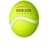 College Sports Sport Sticker by Horizon League