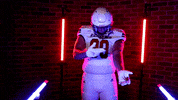 Cold Blooded Murray GIF by Richmond Spiders