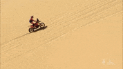 Jump Wow GIF by Amaury Sport Organisation