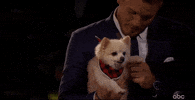 colton underwood GIF by The Bachelor