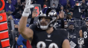 Baltimore Ravens Football GIF by NFL