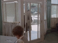 season 1 netflix GIF by Gilmore Girls 