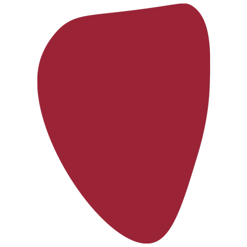 bula_fabula giphyupload giphythatsgonnabeanofrommedawg fabula bula Sticker