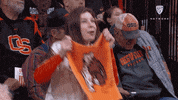 Gobeavs GIF by Pac-12 Network