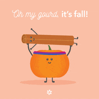 Its Fall Fitness GIF by Peerfit