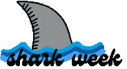 Shark Week Water Sticker