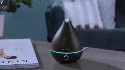 merystyle giphygifmaker GIF