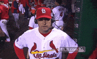 st. louis cardinals baseball GIF by MLB