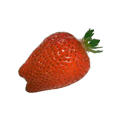 Strawberry いちご Sticker by suikanosato