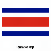 Costa Rica Flag GIF by Formación Ninja