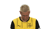 Look Up Borussia Dortmund Sticker by Bundesliga