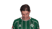 Werder Bremen Sticker by Bundesliga