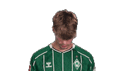 Werder Bremen Sticker by Bundesliga
