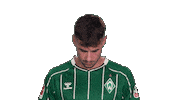 Werder Bremen Deman Sticker by Bundesliga