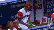 Drumming Republica Dominicana GIF by MLB