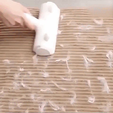 Snezana1 giphyupload GIF