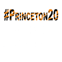 Class Of 2020 Sticker by Princeton University
