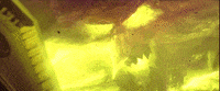 Angry Stop Motion GIF by LAIKA Studios