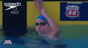 Katie Ledecky Swimming GIF