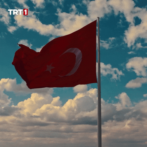 19 Mayıs Turkey GIF by TRT