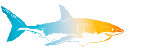 Cape Cod Art Sticker