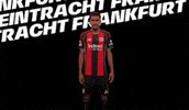 Bundesliga Sign GIF by Eintracht Frankfurt