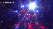 GIF by Bellator