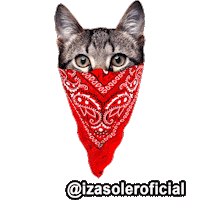 Cat Brother Sticker by Izasoler