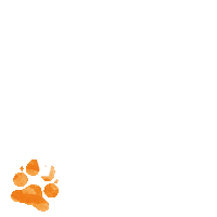 Happy Good Morning Sticker by Siviwonder