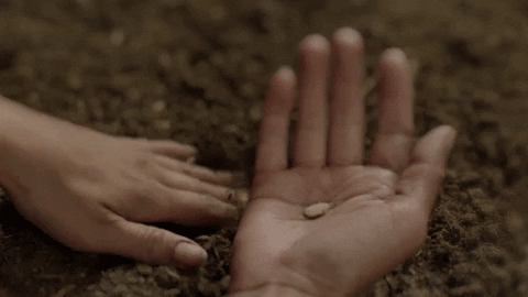 Cosmospossibleworlds GIF by cosmosontv