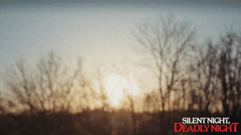 Santa Claus Christmas GIF by STUDIOCANAL